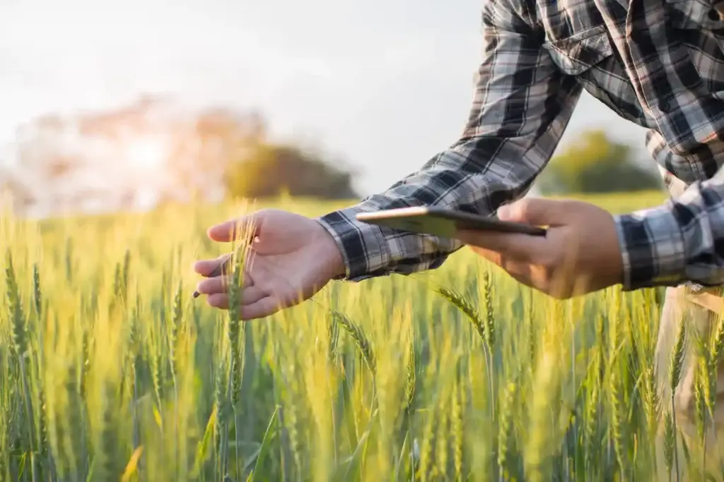 Agriculteur céréalier