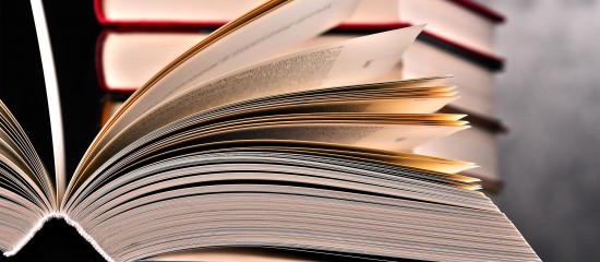 Les Echos Publishing 2022