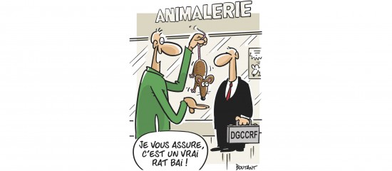 Les Echos Publishing 2022