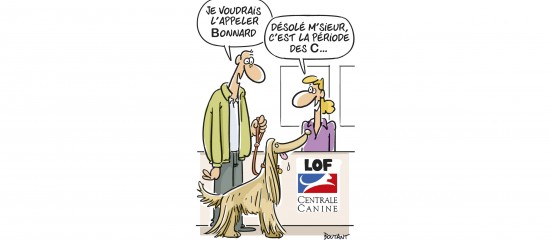 Les Echos Publishing 2023