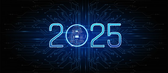 Les Echos Publishing 2025