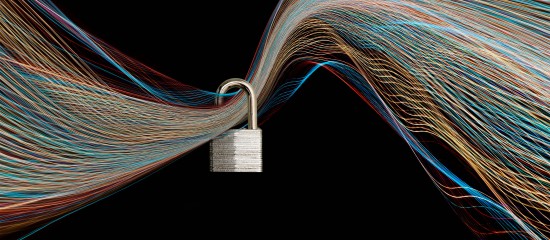 Les Echos Publishing 2025