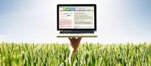 Les Echos Publishing 2025
