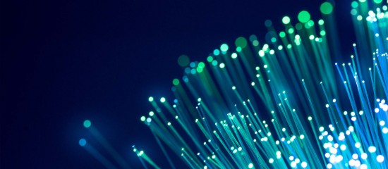 alice_photo - stock.adobe.com