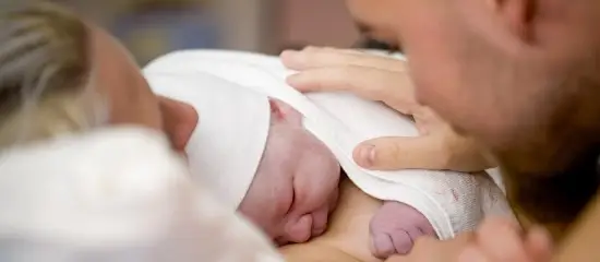 Kati Finell - stock.adobe.com