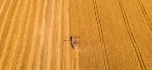Société coopérative agricole