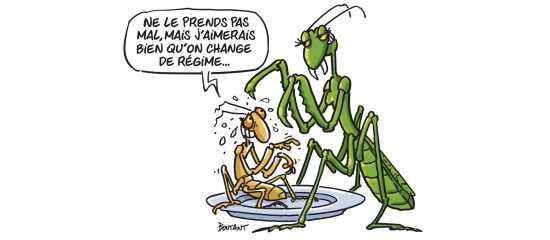 Les Echos Publishing 2026