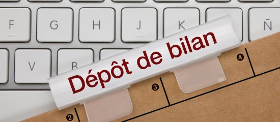 Les Echos Publishing 2026