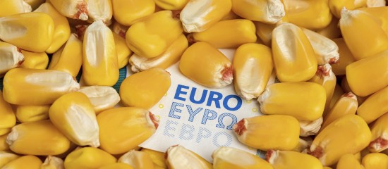 Les Echos Publishing 2026