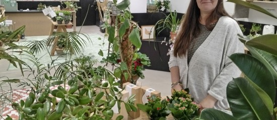 Bloom vegetal