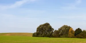 Aide fonds de réarmement agricole