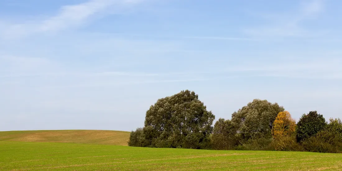 Aide fonds de réarmement agricole