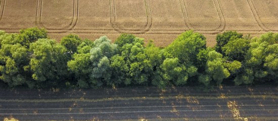 keBu.Medien - stock.adobe.com