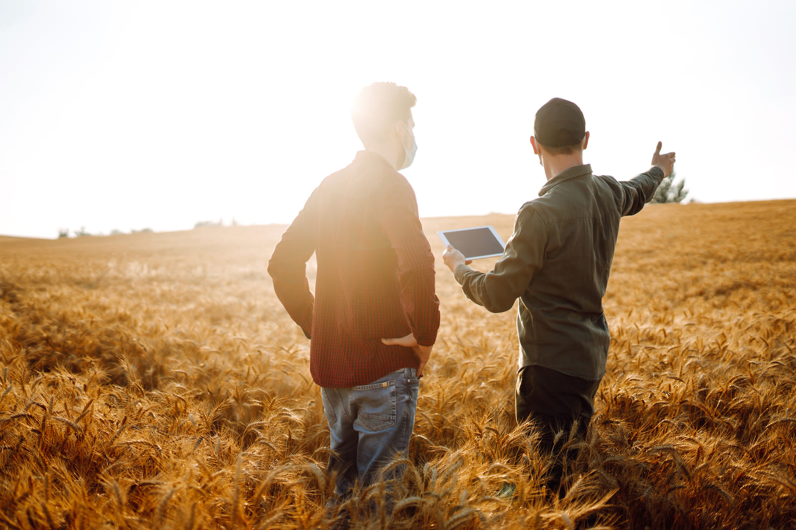 Associés d'une SCEA accompagnés par un expert-comptable agricole Adheo dans le Grand Est